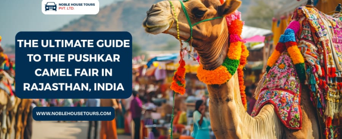The Ultimate Guide to the Pushkar Camel Fair in Rajasthan, India