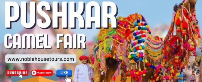 Pushkar Camel Fair 2026