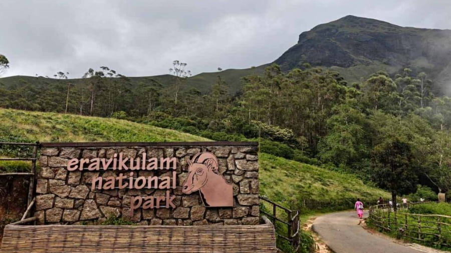 Eravikulam National Park