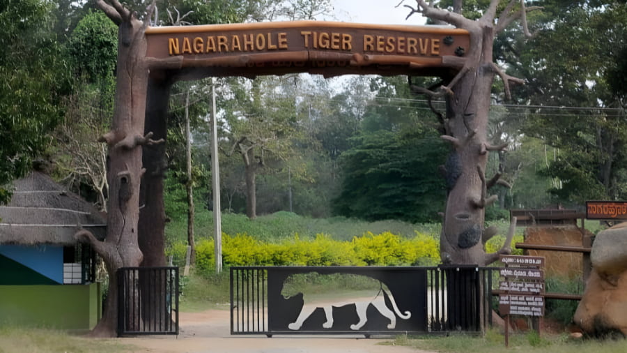 Nagarhole National Park