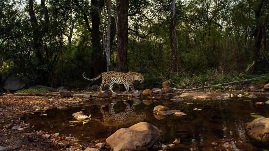Nagarjuna Sagar Wildlife Sanctuary