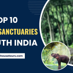 Top 10 Wildlife Sanctuaries In South India