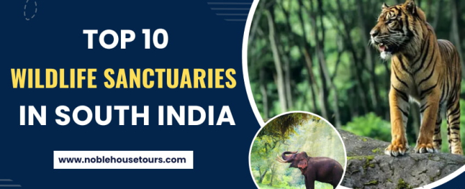 Top 10 Wildlife Sanctuaries In South India