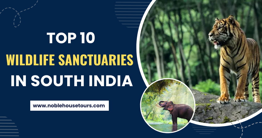 Top 10 Wildlife Sanctuaries In South India