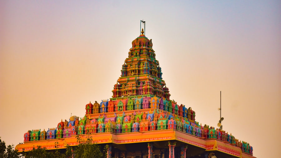 Temple Visits & Darshans