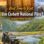 Best Time to Visit Jim Corbett National Park Season-Wise Guide