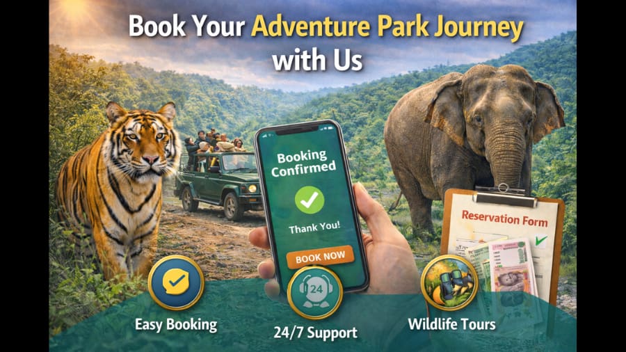 Book Your Adventure Park Journey with Us
