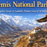 Hemis National Park A Complete Guide to Ladakh’s Hidden Gem of Wildlife