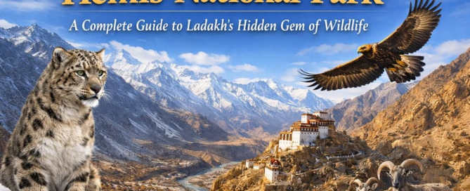 Hemis National Park A Complete Guide to Ladakh’s Hidden Gem of Wildlife