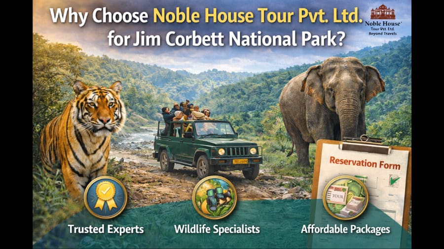 Why Choose Noble House Tour Pvt. Ltd. for Jim Corbett National Park