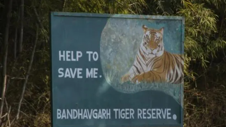 Bandhavgarh National Park Ticket Price
