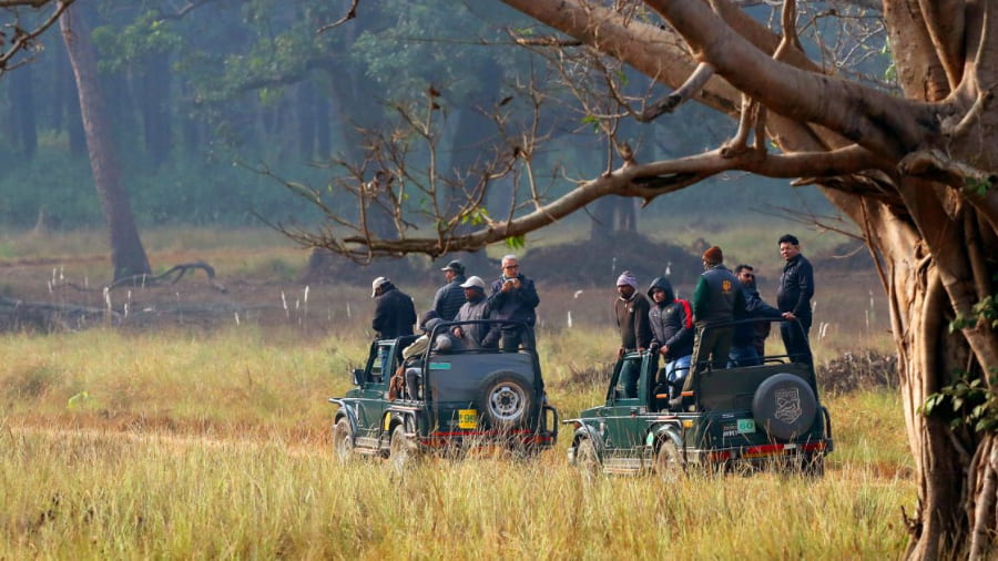 Bandhavgarh Safari Booking Price