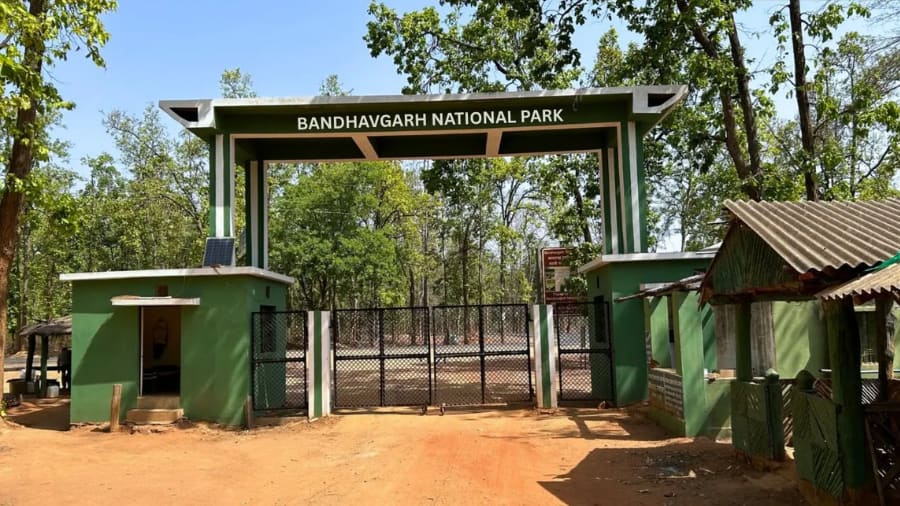 Fees for Vehicles and Safari