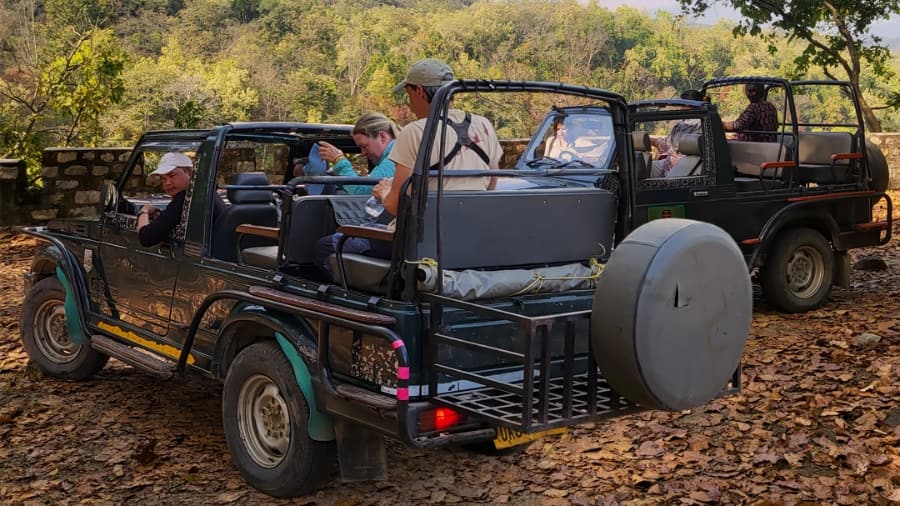 Types of Safaris Jeep Safari and Walking Safari