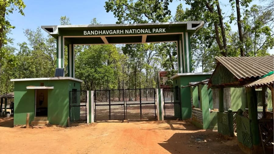 Bandhavgarh National Park
