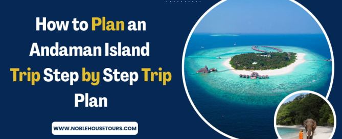How to Plan an Andaman Island Trip Step by Step Trip Plan