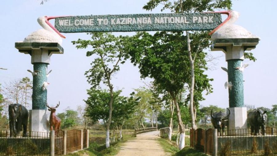 Kaziranga National Park