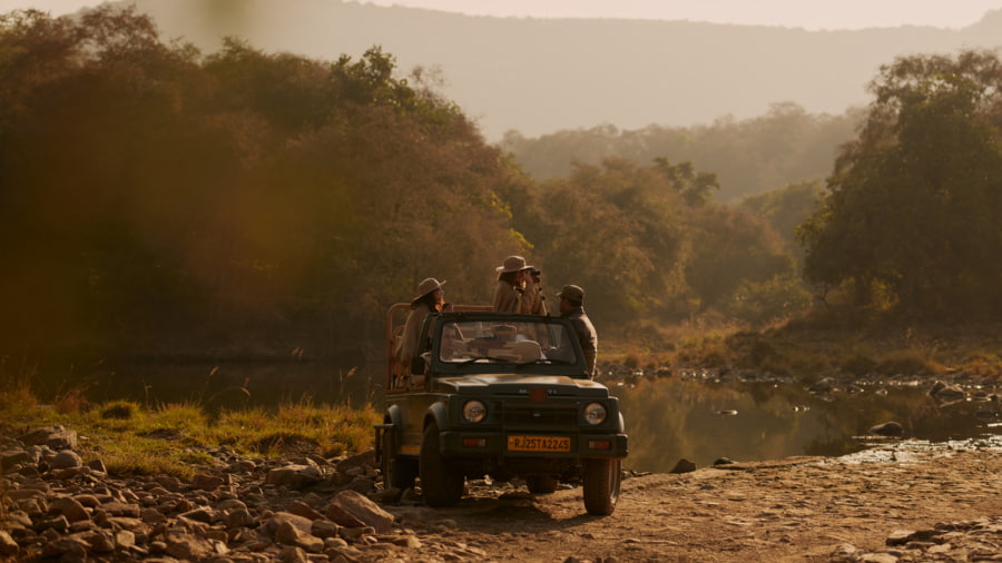 List of Top 10 National Parks in India for Wildlife Safari