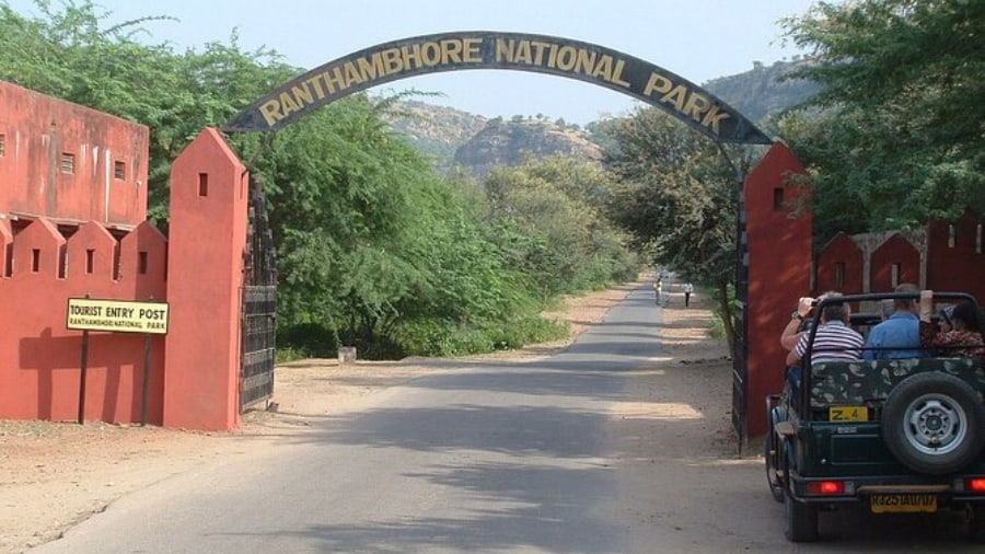 Ranthambore National Park