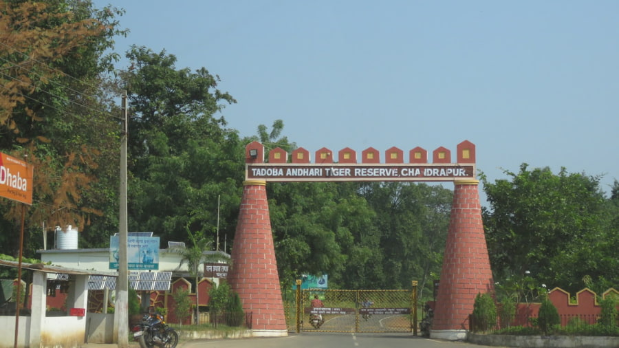 Tadoba Andhari Tiger Reserve