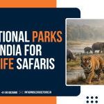 Top National Parks in India for Wildlife Safaris