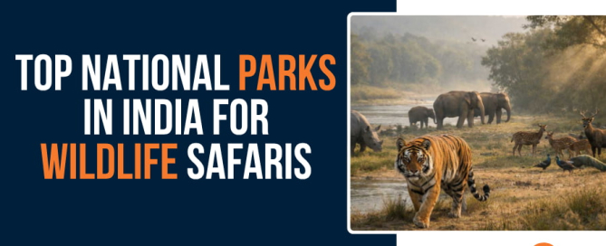 Top National Parks in India for Wildlife Safaris