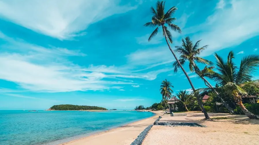 What is the Best Time to Travel to Goa