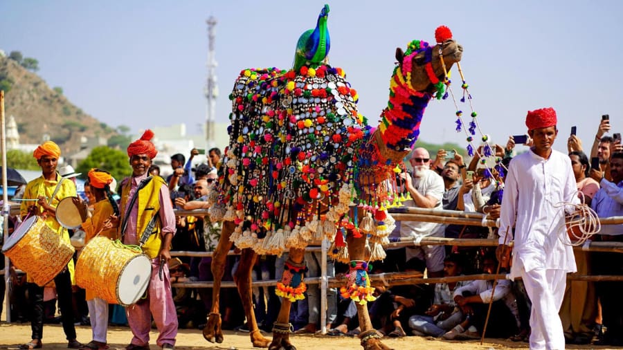 Enjoy Local Culture and Festivals
