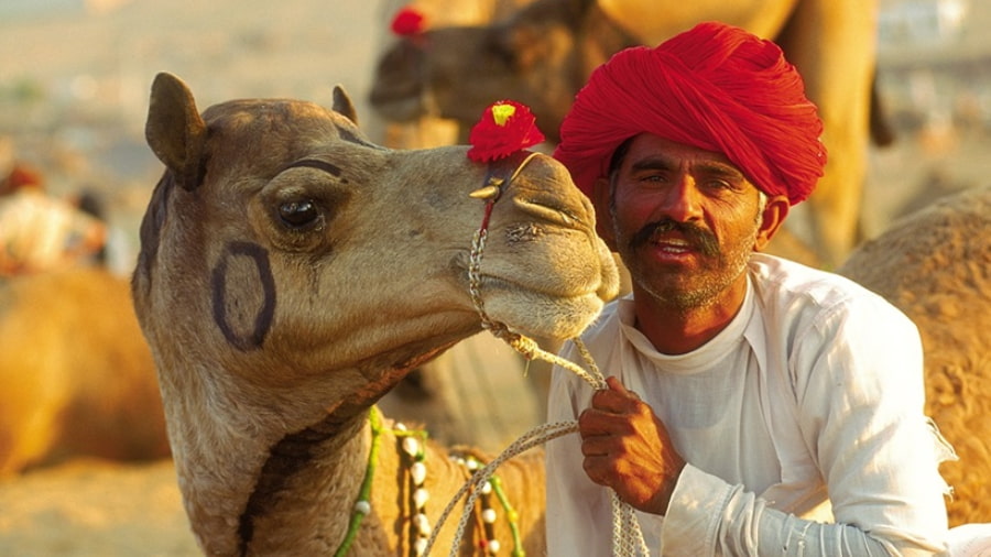 Experience Pushkar Camel Fair