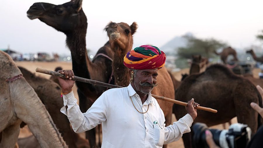 History and Cultural Importance of Pushkar Fair