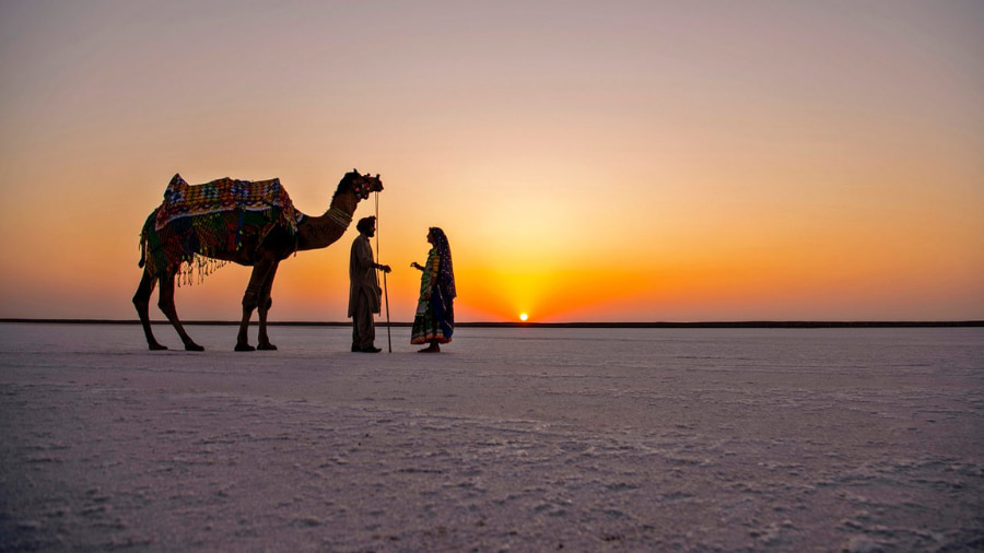 Rann of Kutch Weather Guide