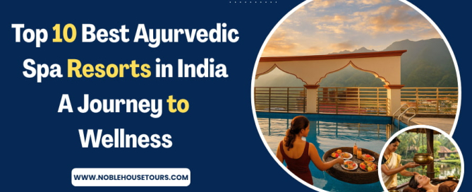Top 10 Best Ayurvedic Spa Resorts in India A Journey to Wellness