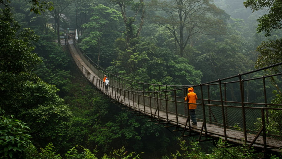 Travel Tips for an Enjoyable Monsoon Trip in India