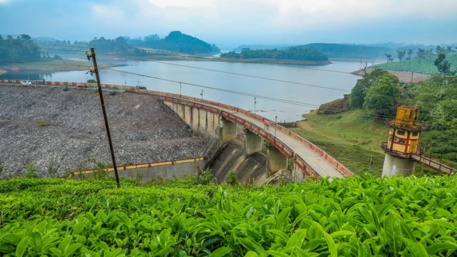 Best Places to Visit in Munnar During the Monsoon