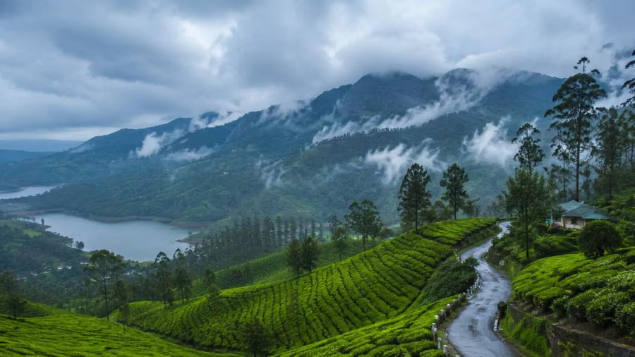 Best Things to Do During the Monsoon in Munnar