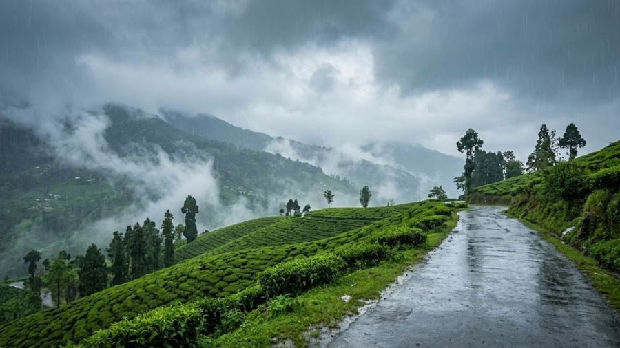 Darjeeling Monsoon Weather What to Expect