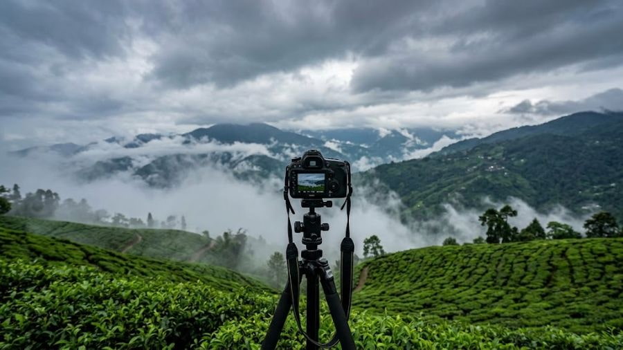 Enjoy Photography