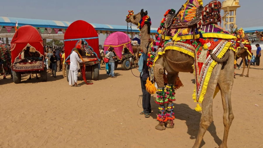 How to Reach Pushkar Camel Fair 2026