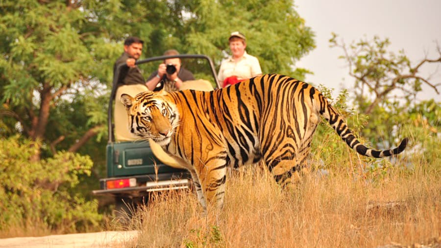 Jim Corbett National Park