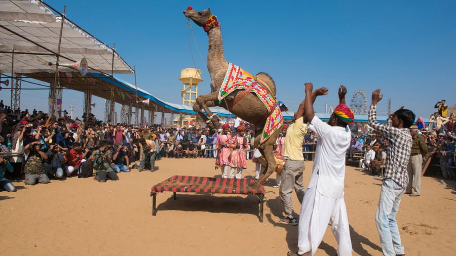 What is the Pushkar Camel Fair