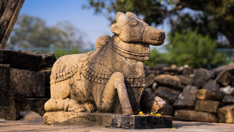 Daily Pataleshwar Cave Temple Timings Tips