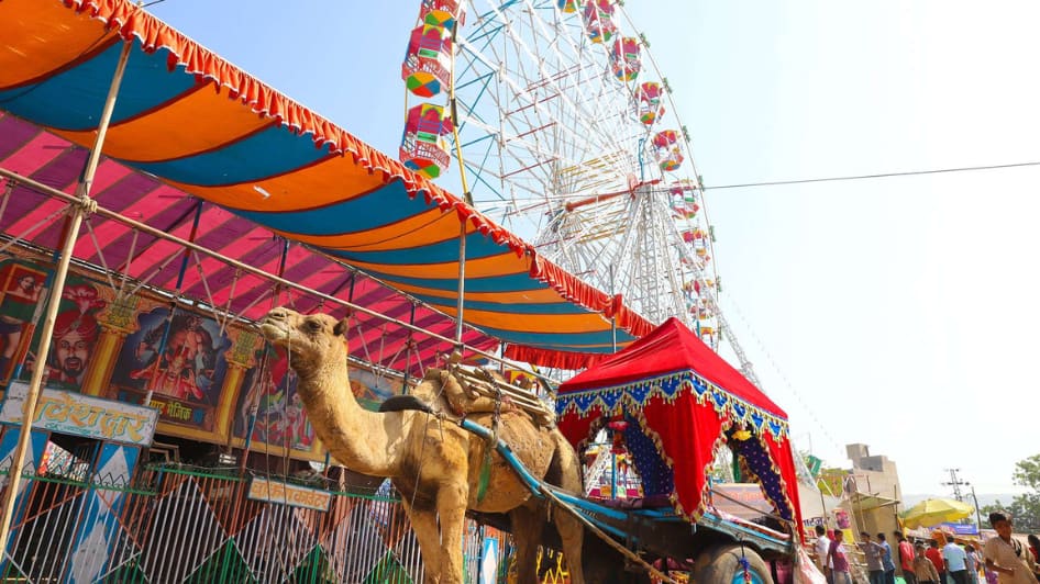 Pushkar Camel Fair 2026 Ticket Price